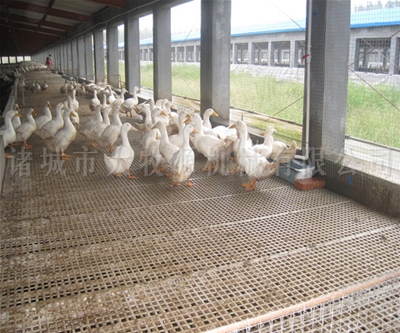 ��Ѽװ��ƽ��