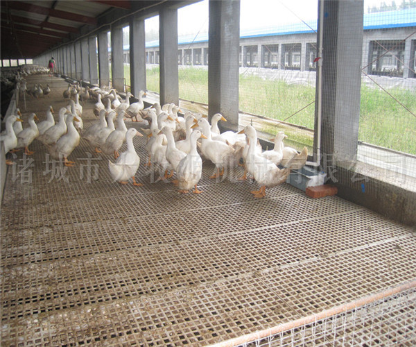 ��Ѽװ��ƽ��