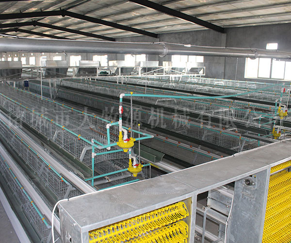 ����ȫ�Զ���ֳϵͳ