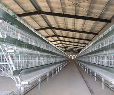 ���㵰������