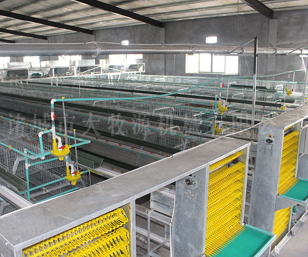 �Զ�����ϵͳ